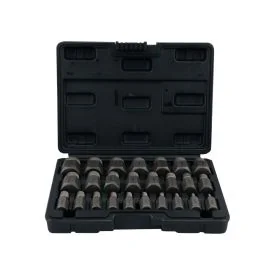 Bolzenentferner 25-teiliges Set - TOPGEAR